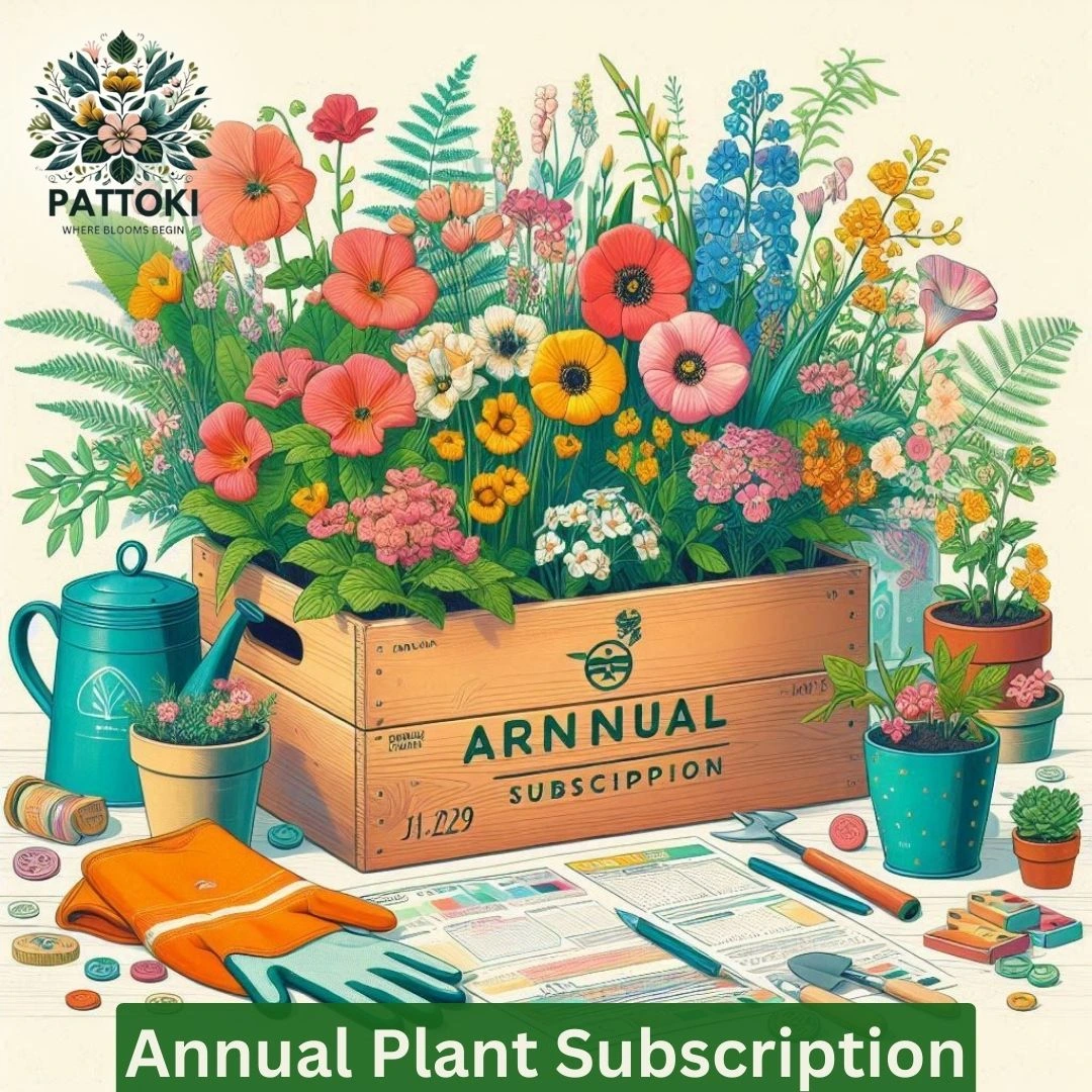 Annual Plant Subscription