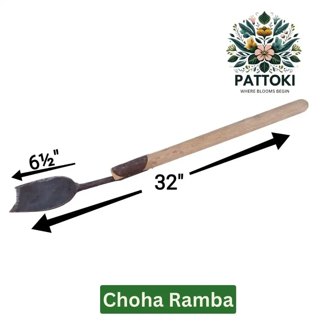 Ramba China Small Transplanter | Pattoki.Pk