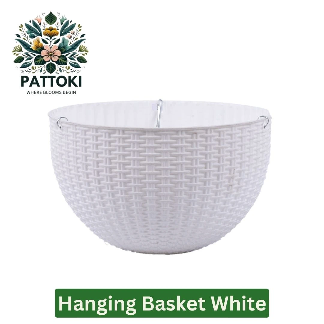 6 Hanging Pots - Versatile, Stylish, and Budget-Friendly!