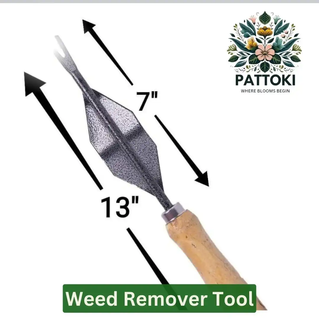 10 Essential Gardening Tools Every Pakistani Gardener Must Have