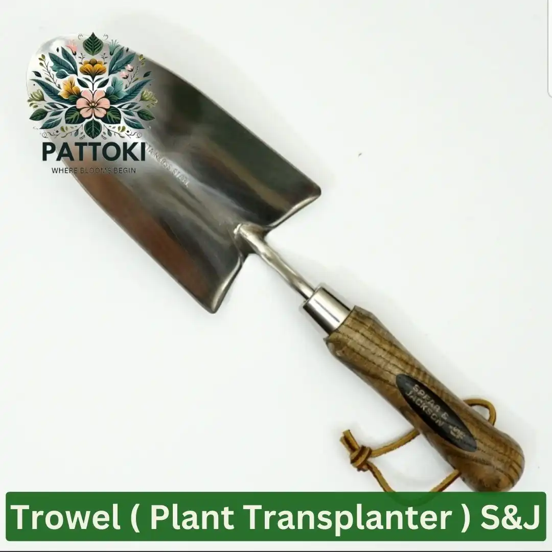 Plant with Precision: S&J Stainless Steel Trowel - Your Trusted Companion for Seamless Transplanting!