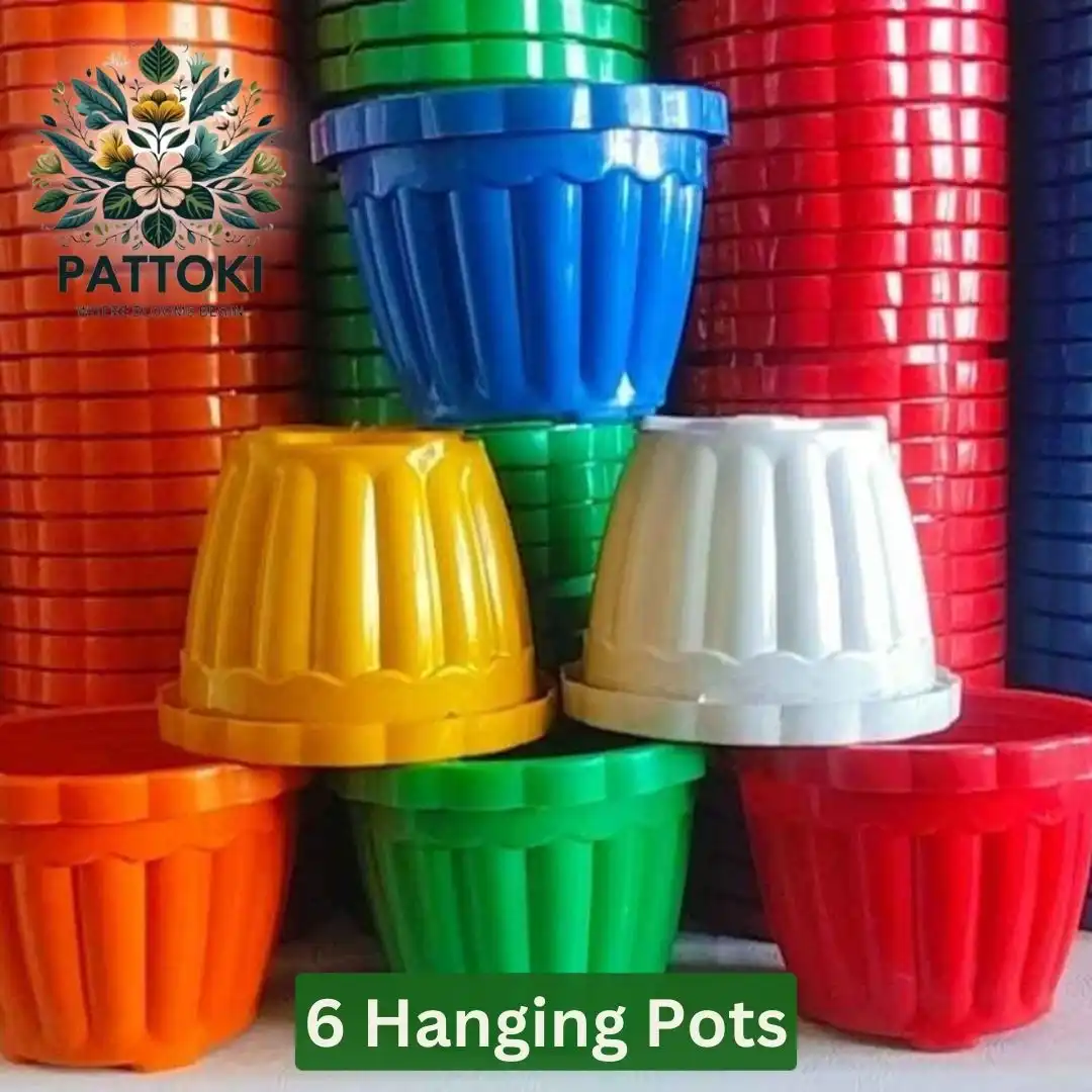 6 Hanging Pots - Versatile, Stylish, and Budget-Friendly!