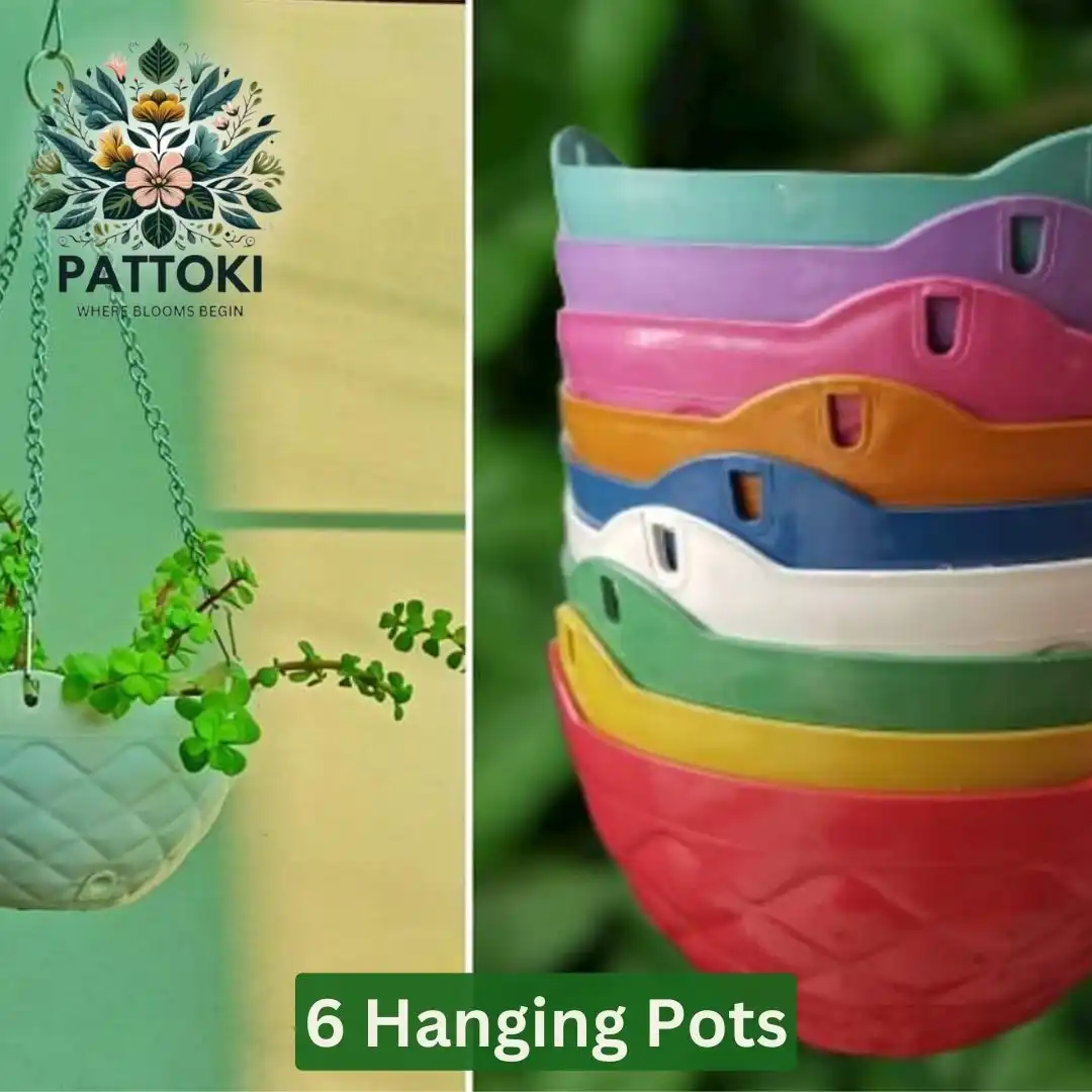 Hanging Basket Deal - 6 Hanging Pots for Just PKR 1,428.90!