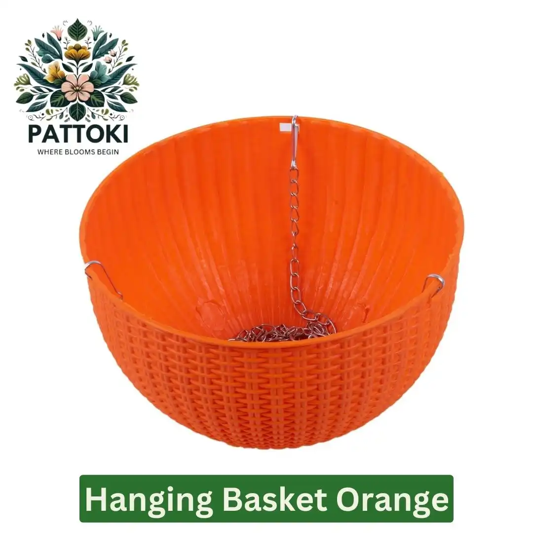 Orange Hanging Basket for Just PKR 495.00!