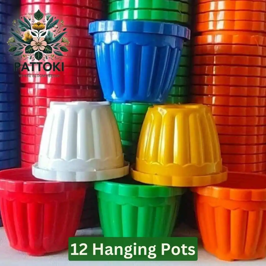 12 Hanging Pots - Unbeatable Value at Just PKR 1,089.00!