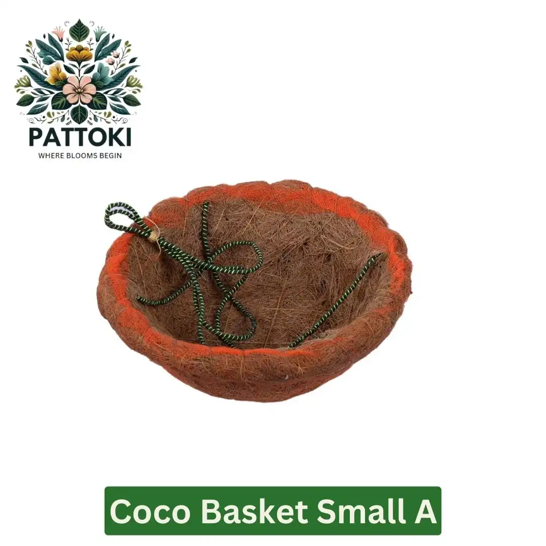 Small A Coco Basket - Natural Beauty at an Unbeatable Price of PKR 154.00!
