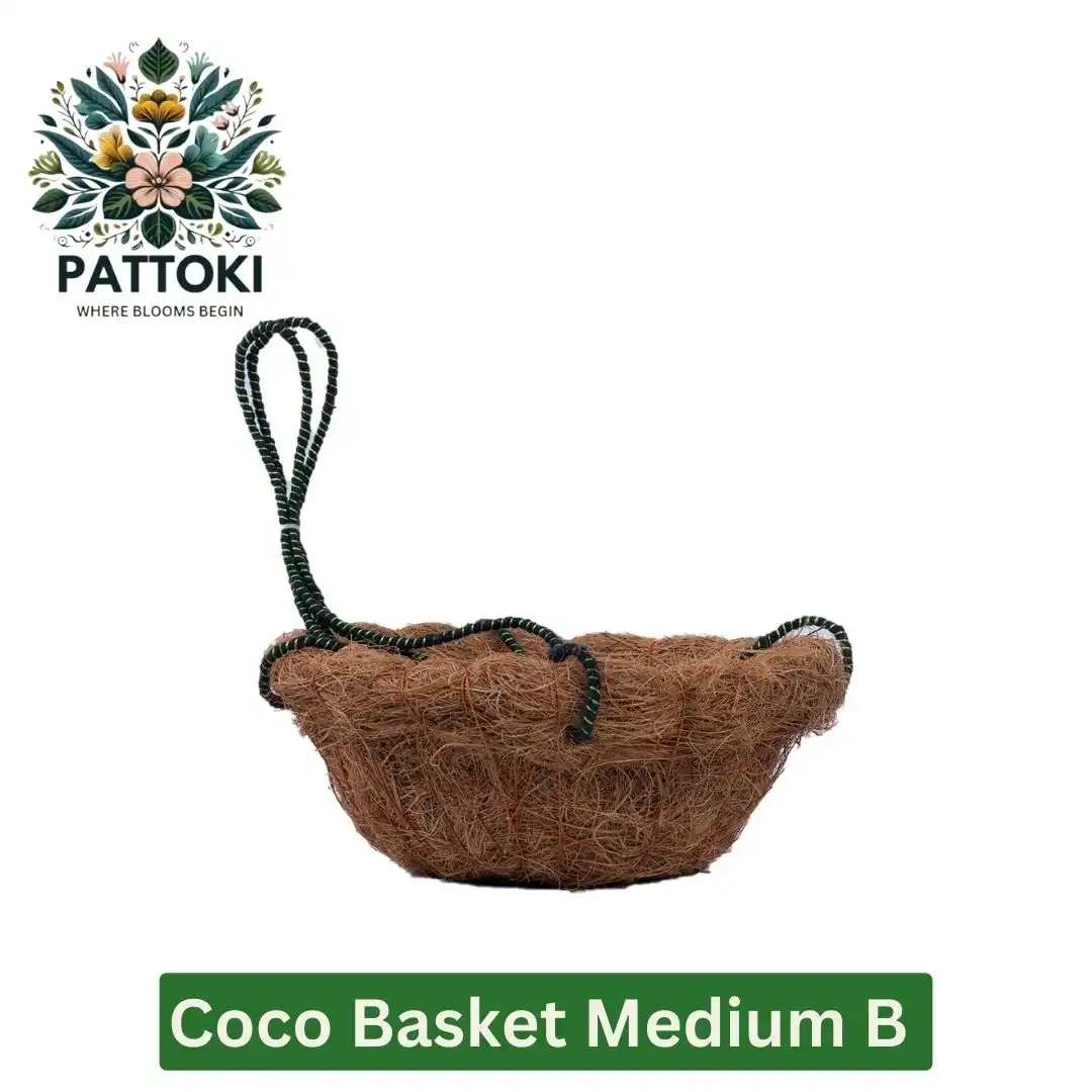 Create Garden Magic: Medium B Coco Basket - Natural Beauty for Just PKR 198.00!