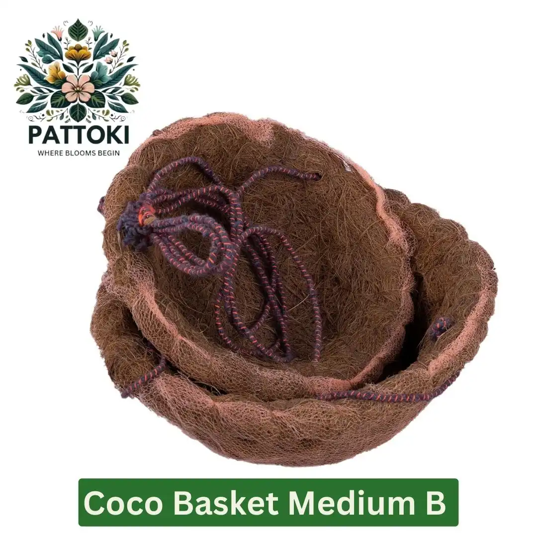 Double the Garden Charm: Coco Basket Double A - Natural Elegance for Only PKR 308.00!
