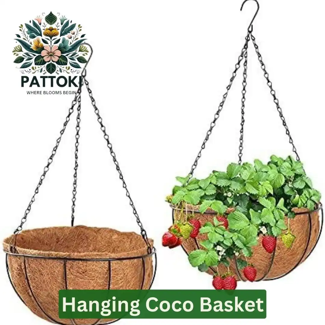 Hanging Coco Basket - Natural Beauty for Just PKR 979.00!