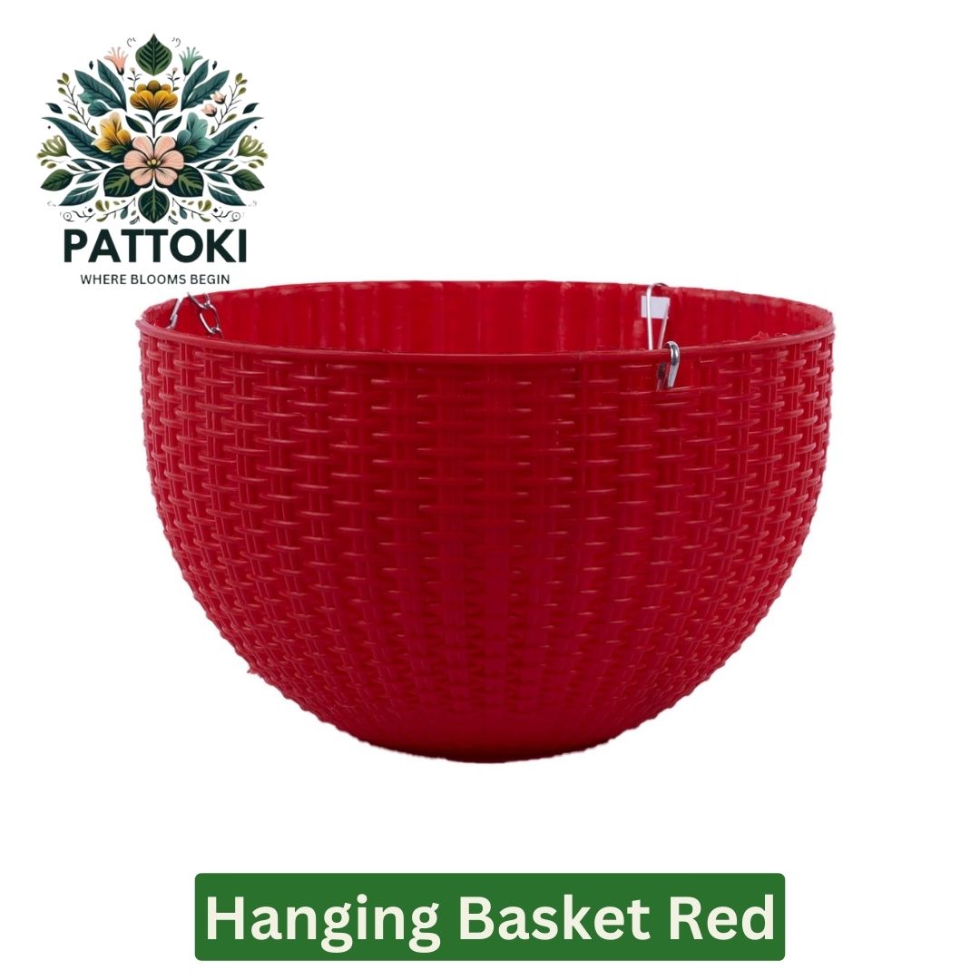 Pots & Planters