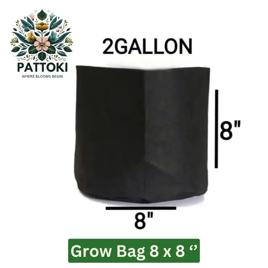 Grow Bag 2 Gallon - Lightweight and Versatile at Only PKR 55.00!