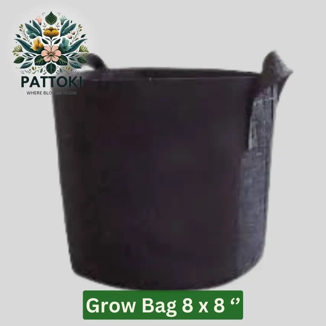 2 Gallon Grow Bag with Handle for PKR 110.00!