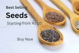 Seeds