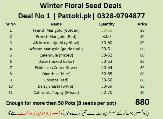 Winter Vegetable Seed Pack - Perfect for Pakistani Home Gardens